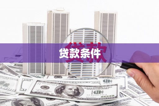 温宿贷款条件