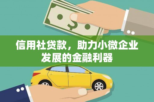 温宿信用社贷款，助力小微企业发展的金融利器