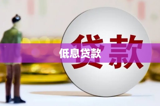 温宿低息贷款