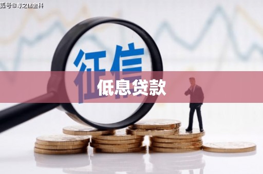 温宿低息贷款