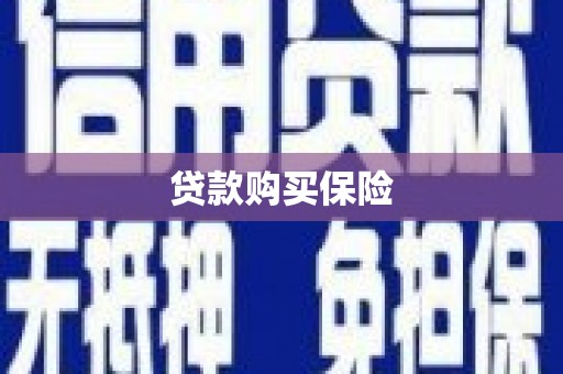 温宿贷款购买保险
