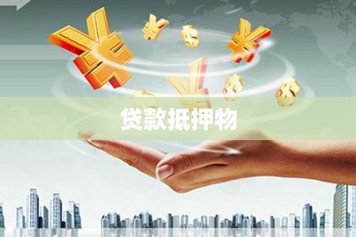 温宿贷款抵押物