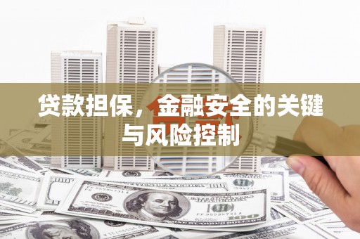 温宿贷款担保，金融安全的关键与风险控制