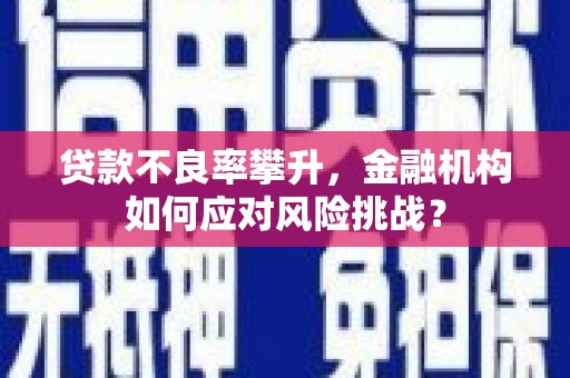 温宿贷款不良率攀升，金融机构如何应对风险挑战？