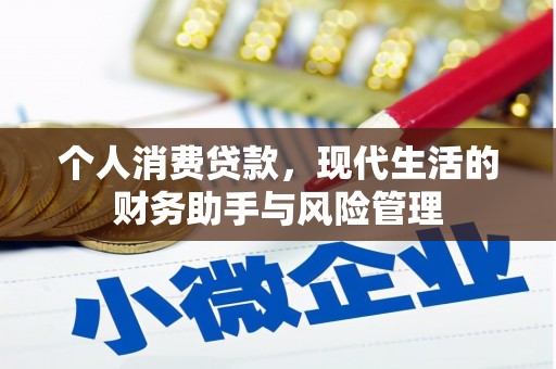温宿个人消费贷款，现代生活的财务助手与风险管理