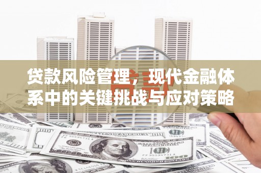 温宿贷款风险管理，现代金融体系中的关键挑战与应对策略