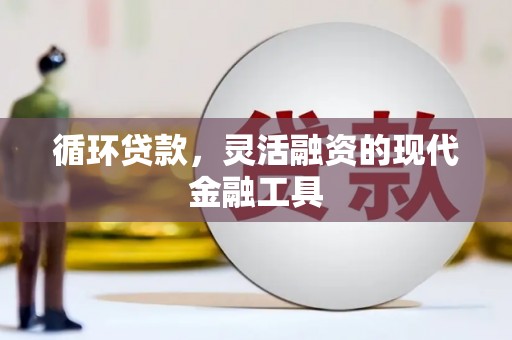 温宿循环贷款，灵活融资的现代金融工具
