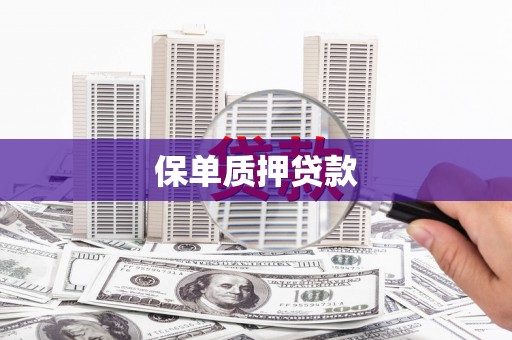 温宿保单质押贷款