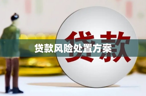 温宿贷款风险处置方案