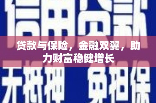 温宿贷款与保险，金融双翼，助力财富稳健增长