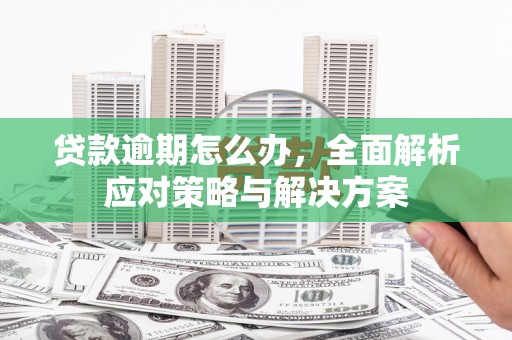 温宿贷款逾期怎么办，全面解析应对策略与解决方案