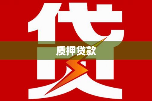 温宿质押贷款