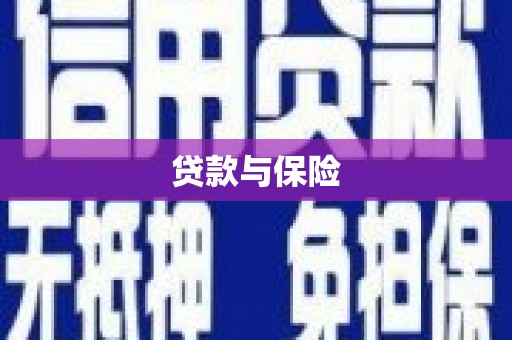 温宿贷款与保险