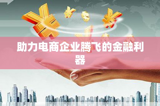 温宿助力电商企业腾飞的金融利器