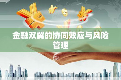 温宿金融双翼的协同效应与风险管理
