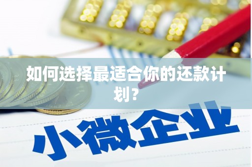 温宿如何选择最适合你的还款计划？