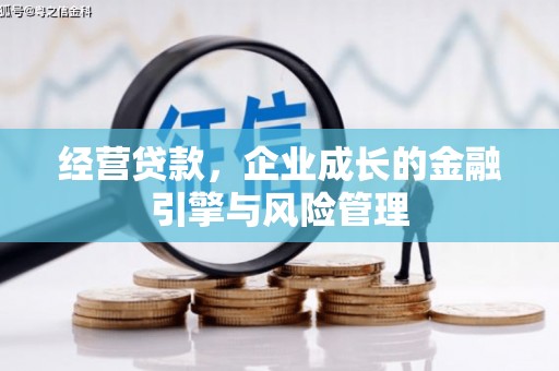 温宿经营贷款，企业成长的金融引擎与风险管理